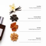 Vanilla Vintage - 55ML - Image 3